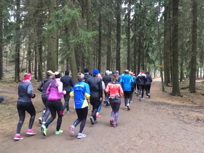 Helsingin keskuspuisto