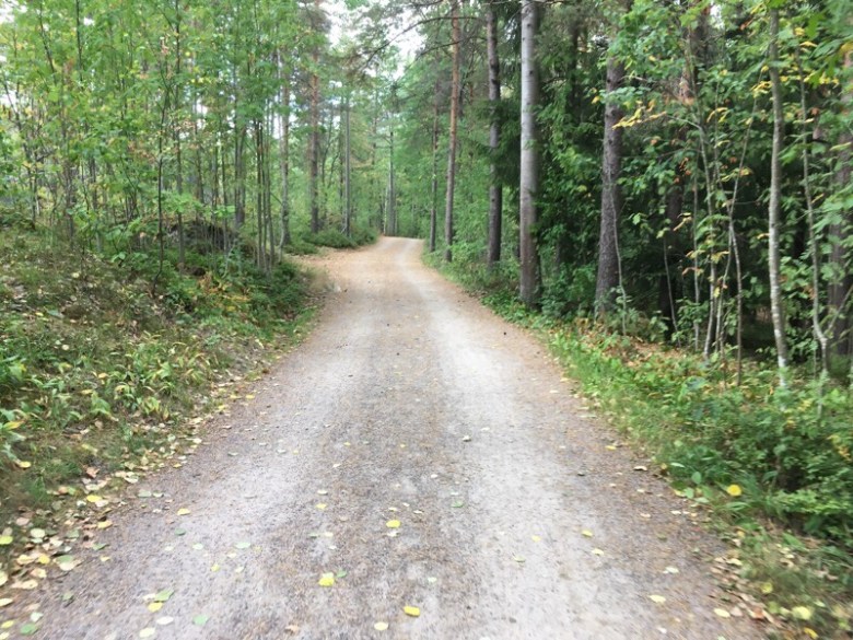 Helsingin keskuspuisto