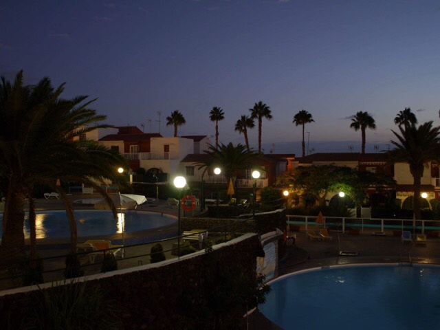 Kuva, jossa palmuja ja uima-altaita.