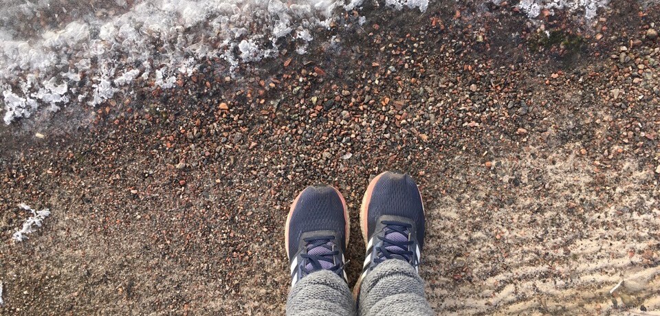 Kuva, jossa adidaksen lenkkarit