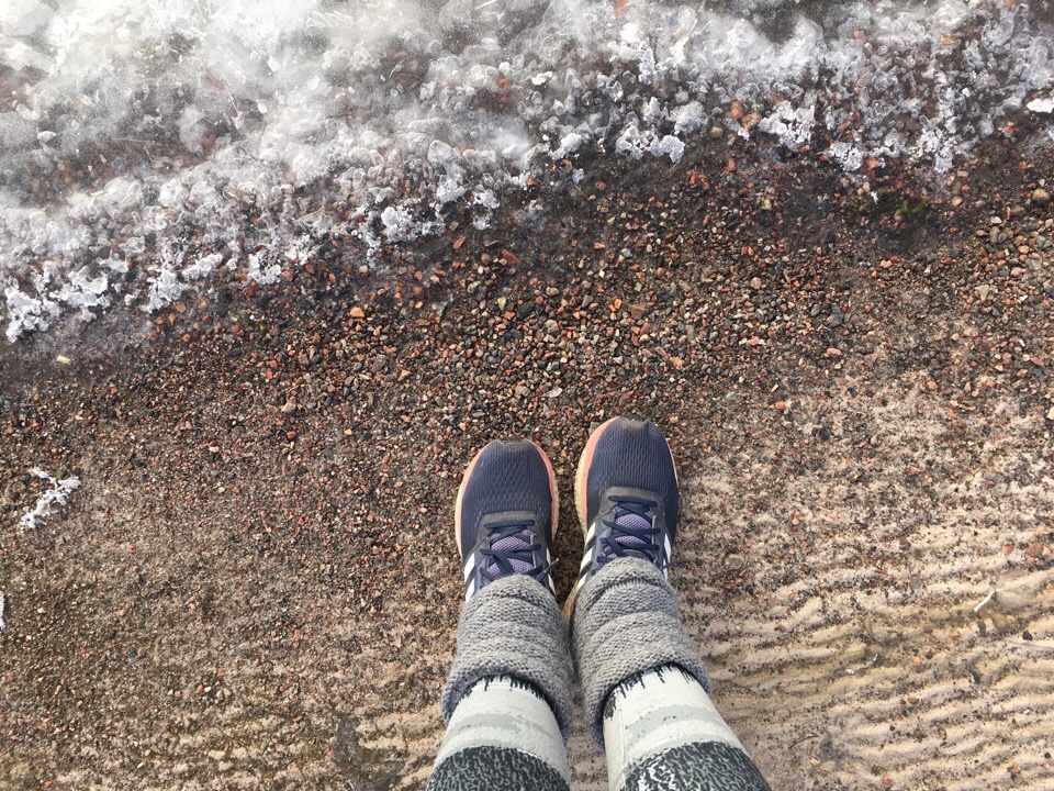 Kuva, jossa adidaksen lenkkarit