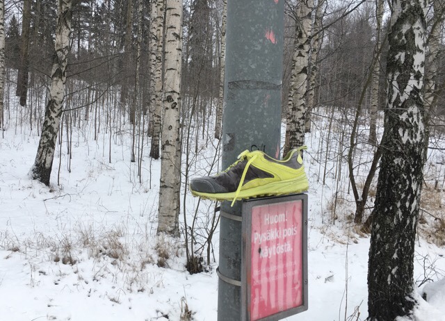 Kuva, jossa keltainen lenkkari.