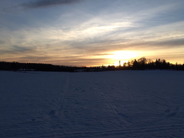 Kuva, jossa lunta, puita ja aurinko.