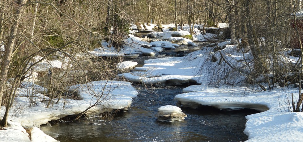 kuvaaja Marika Sandberg