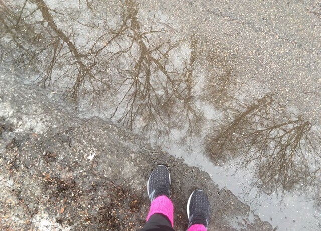 kuva, jossa vesilammikko