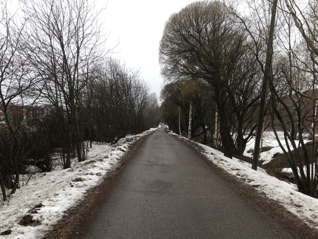 Kuva, jossa suaa asfalttia.