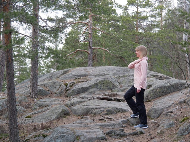 Kuva, jossa kalliota ja mantymetsaa.