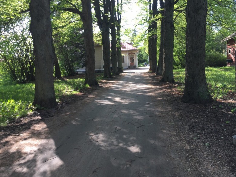 Kuva, jossa lehmuskuja.