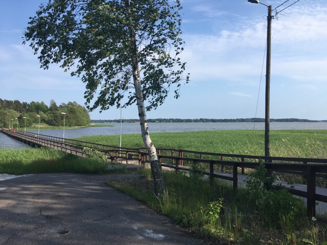 Kuva, jossa koivu, meri ja silta.