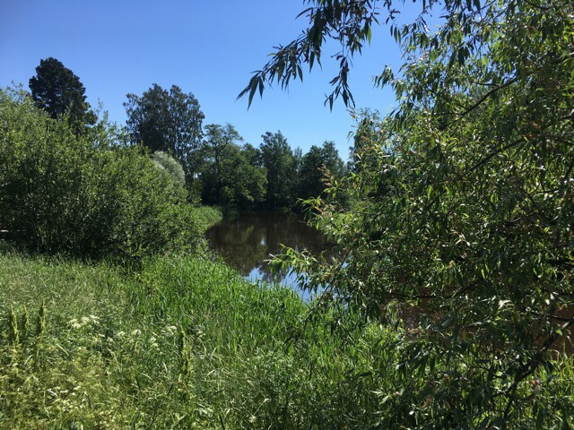 Kuva, jossa vantaanjoki.