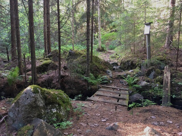 Kuva, jossa luontopolku.