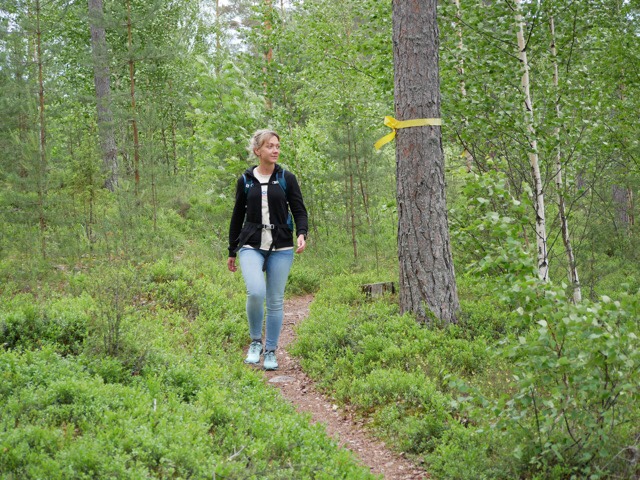 kuva, jossa patikoija norppapolulla