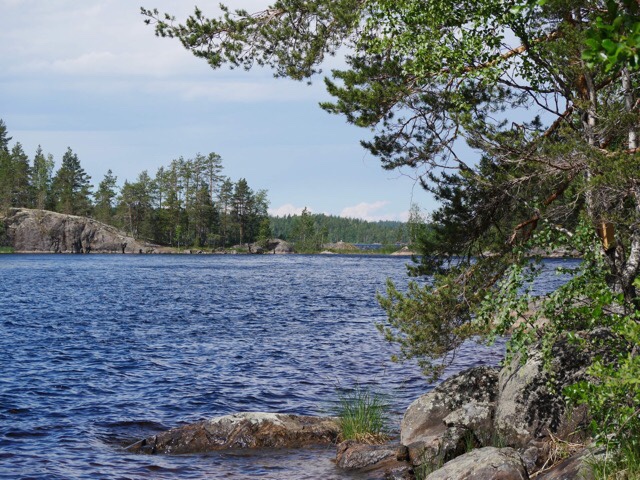 Kuva, jossa saimaa.