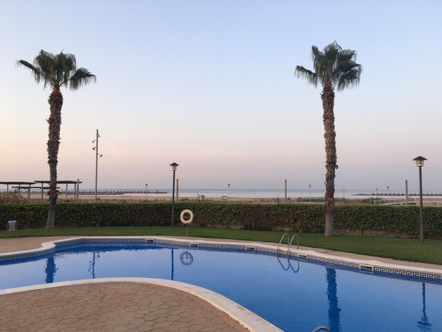 Kuva, jossa uima-allas ja palmuja. 