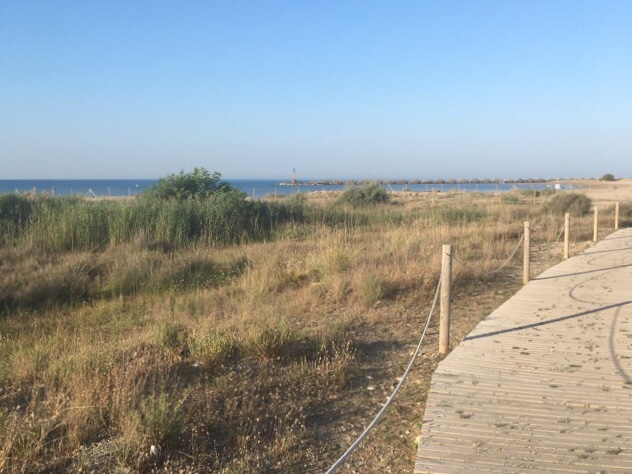 Kuva, jossa hiekkaranta