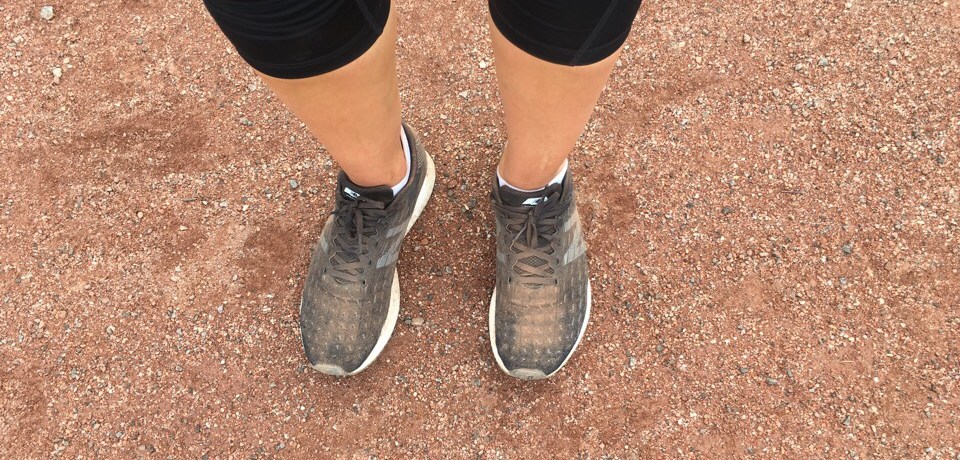 Kuva, jossa punamurskaa