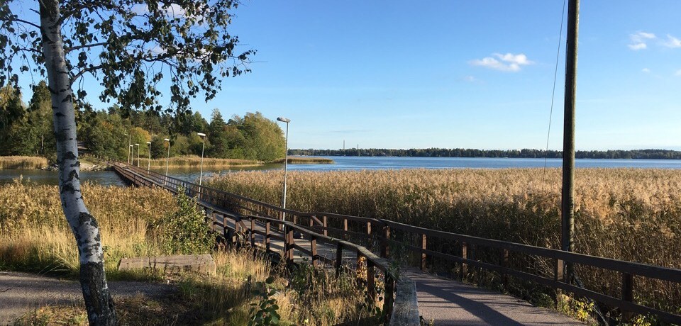 laajalahti silta kaislikko meri