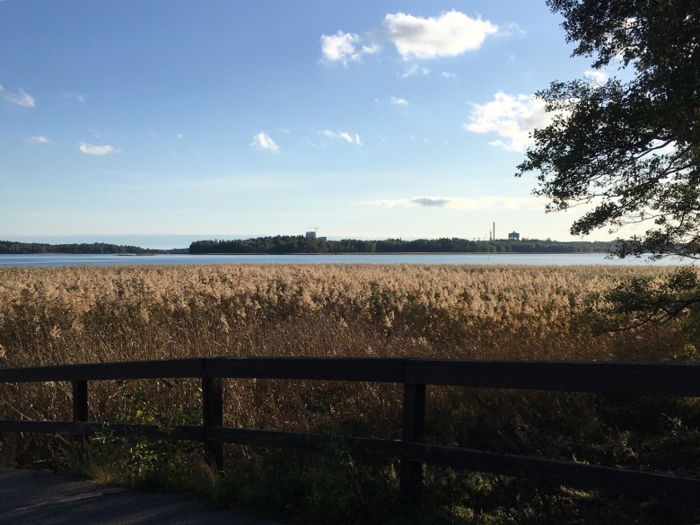 laajalahti tehdas meri kaislikko