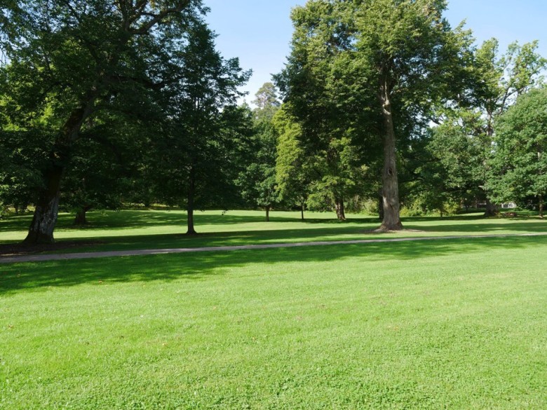 kuva, jossa puisto espoossa