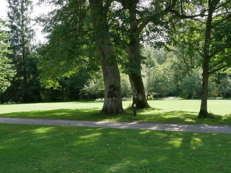 Kuva, jossa jalopuita Espossaa