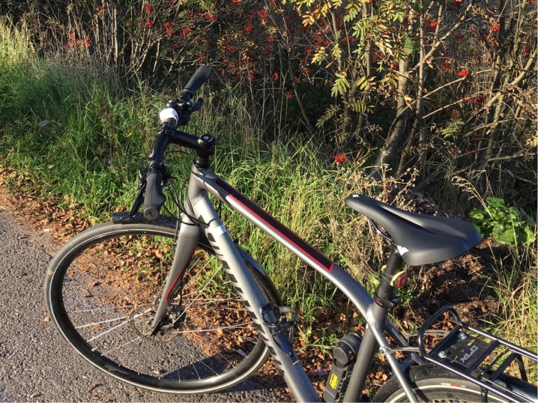 specialized sirrus elite