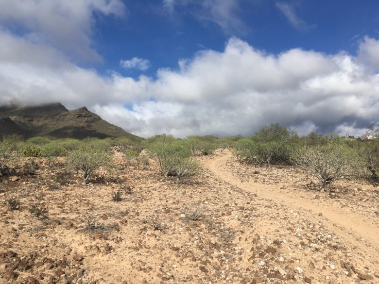 128D0CC5-DDD6-42A1-8F9A-6D09796CBC61