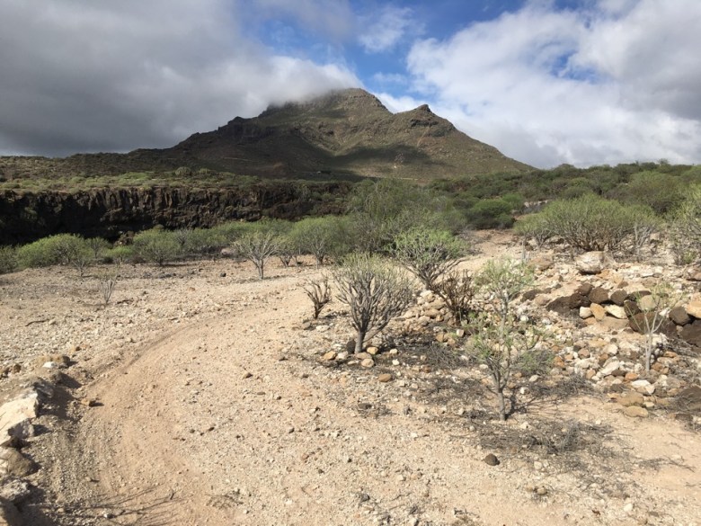 20D59372-A127-4305-974A-92E5918E52A2