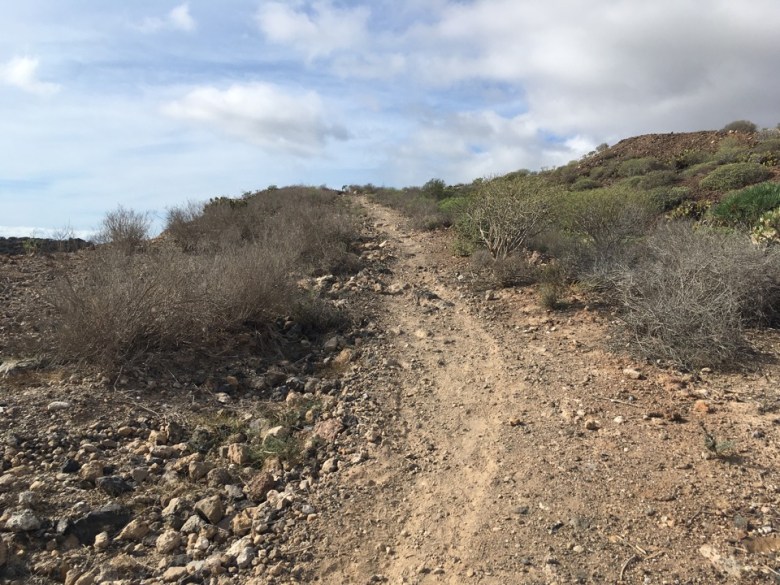 5001D509-715E-4DF3-A167-BACB0AE9E2C8