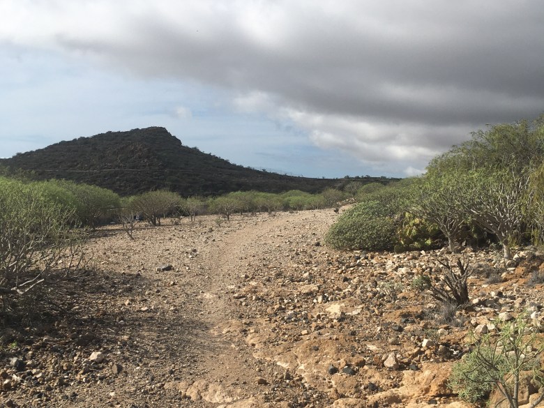 9CBEC13F-0201-4E21-8F6A-04D3AC030CF9