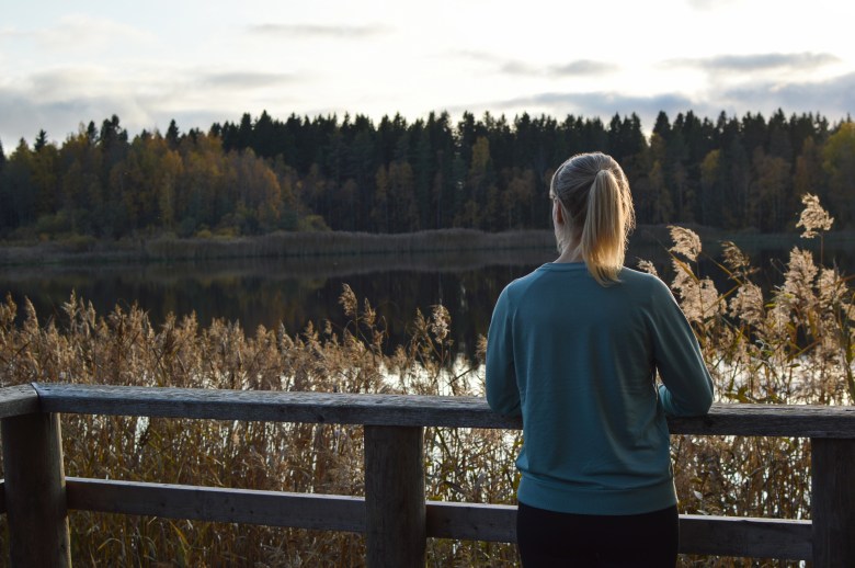 tyyni vesi ruovikko rannalla