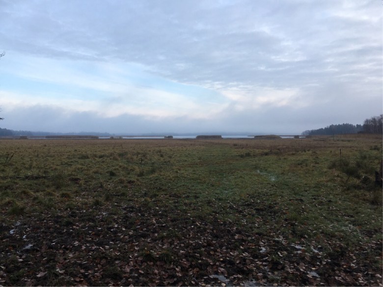 laajalahti nature reserve espoo finland