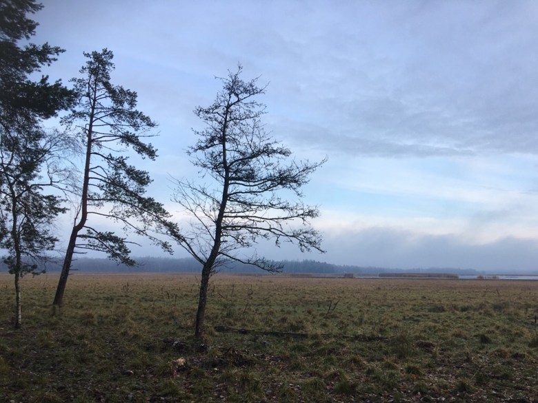 laajalahti nature reserve espoo