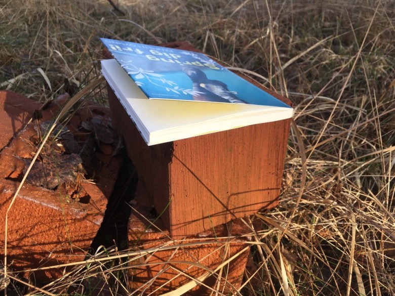 book review kenneth gysing