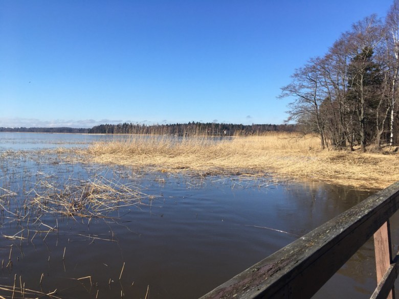 laajalahti espoo meri