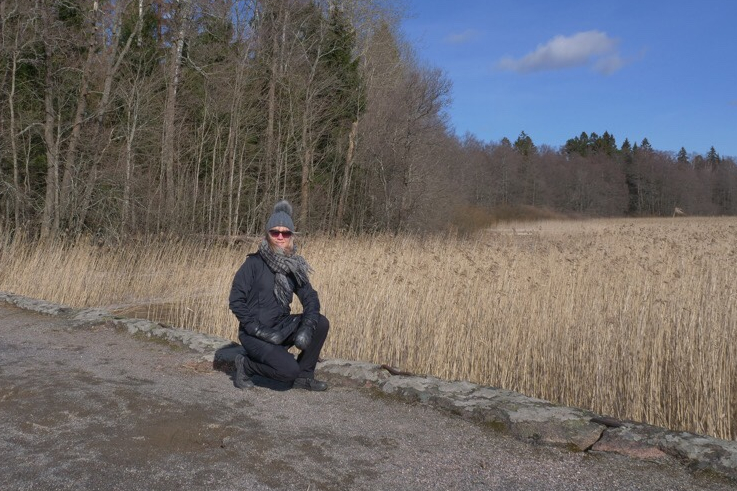 windy day at laajalahti nature reserve