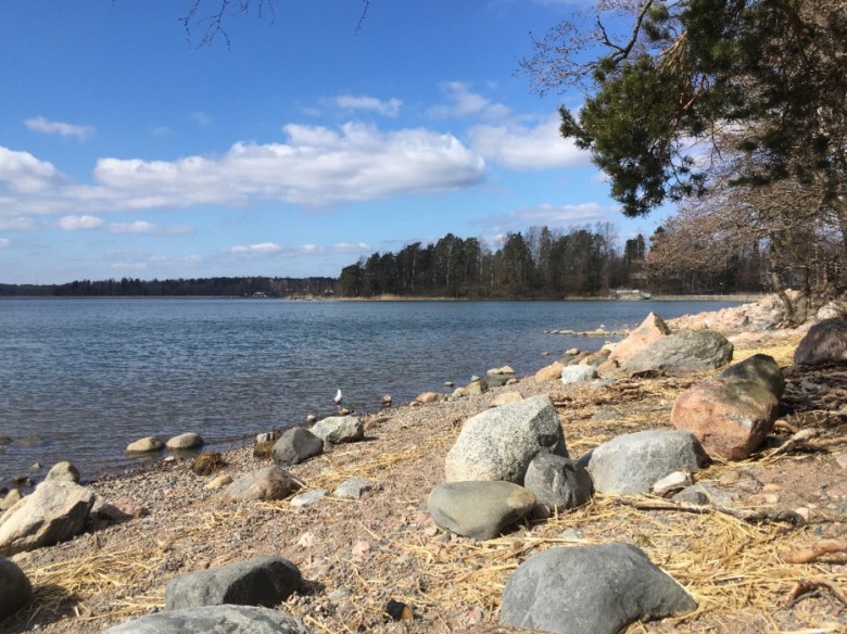 laajalahti helsinki juoksu