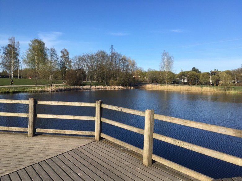 katselutasanne mataoja helsinki lampi