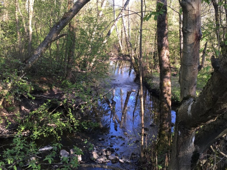 oja helsinki lenkkipolku