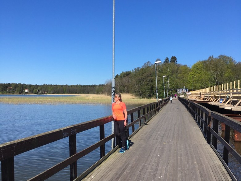 tarvon sillan kunnostus