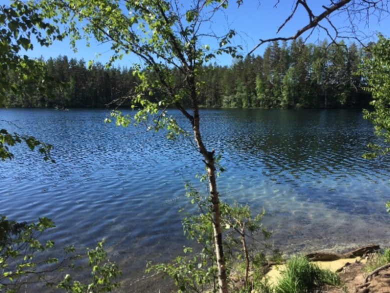 isomelkutin loppi rayskala