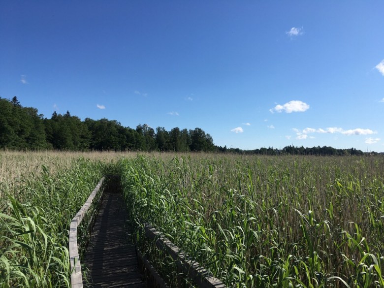 ruovikko laajalahti luontopolku