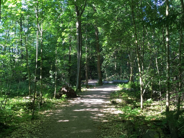 villa elfvik luontopolku espoo
