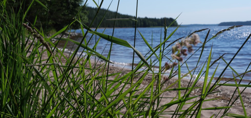 taipalsaari saimaa telttailu