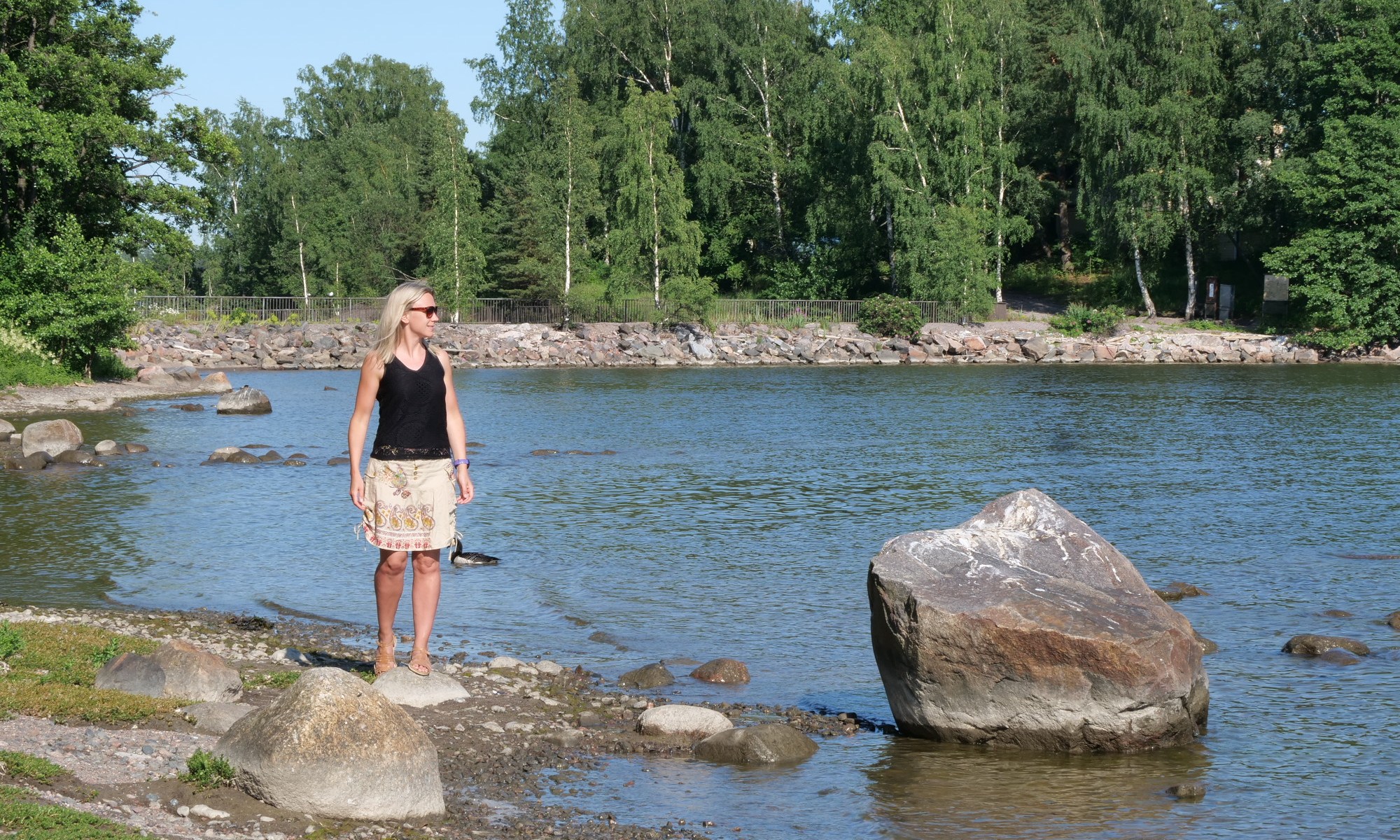 korkeasaari zoo meri