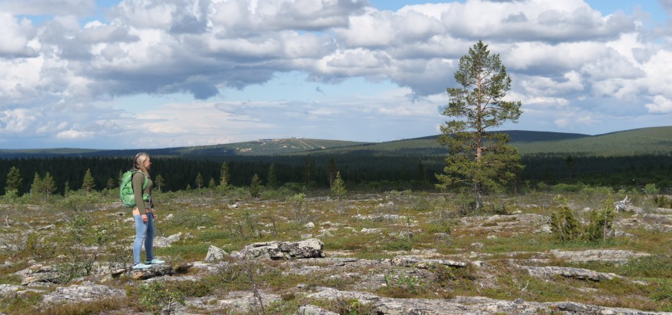 tunturi vaellus lappi