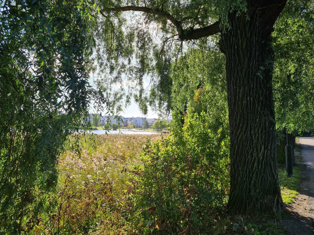 toolonlahti helsinki