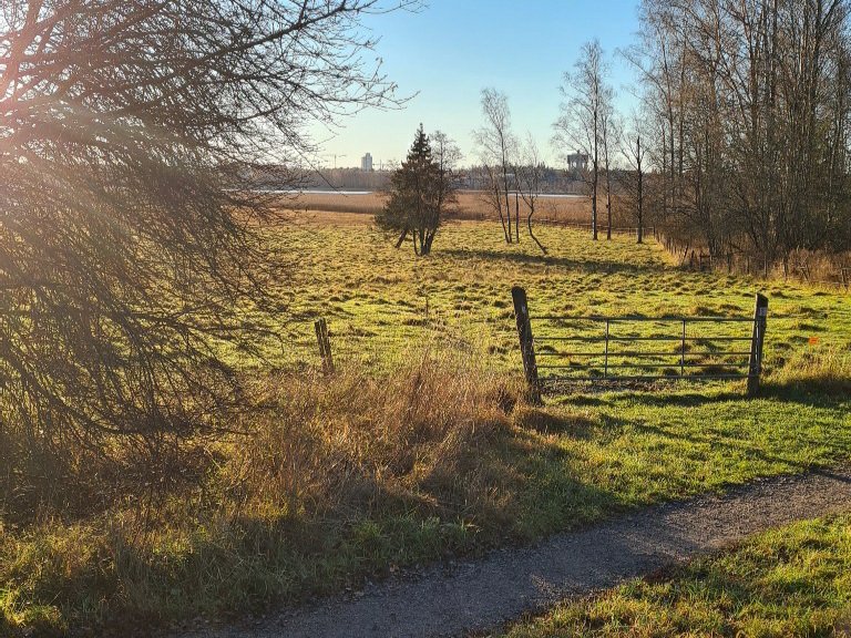 laajalahden luonnonsuojelualue