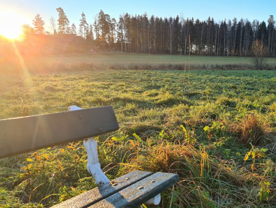 aurinko nouseet metsan takaa