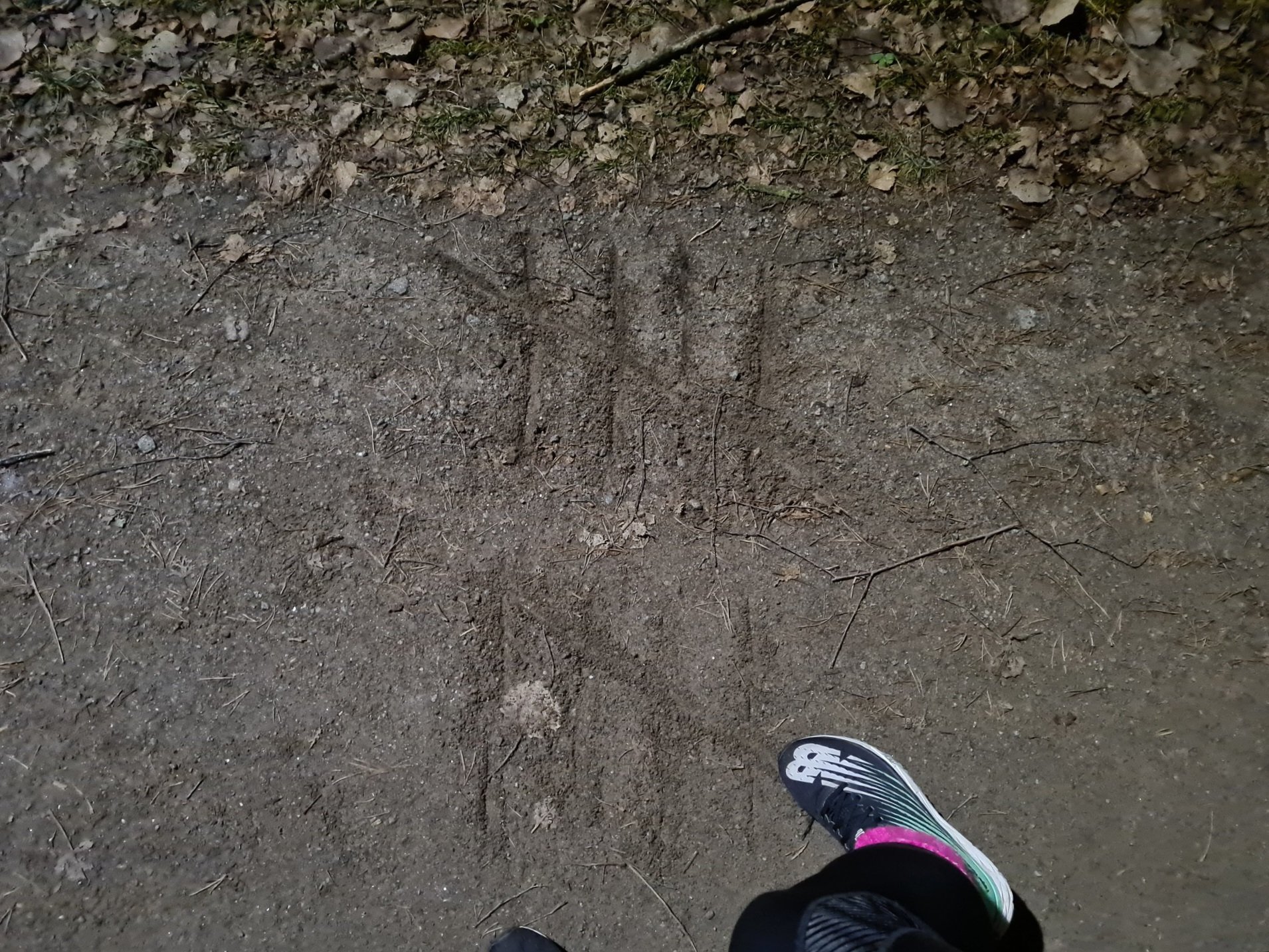 tukkimiehen kirjanpito