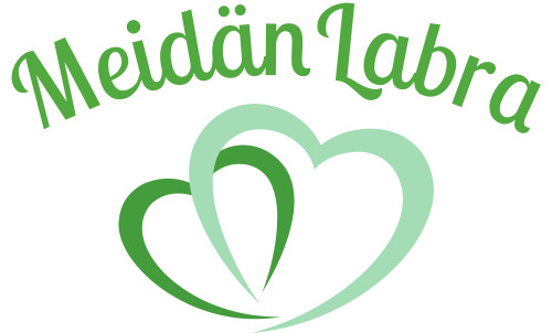 ferritiini kotitesti meidan labra